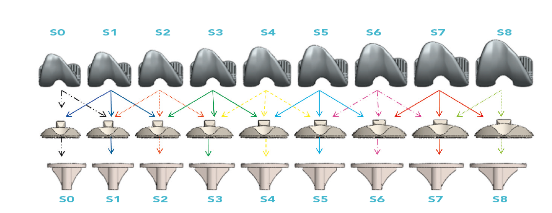 ANATOMIC SIZES COMPATIBILITY 2