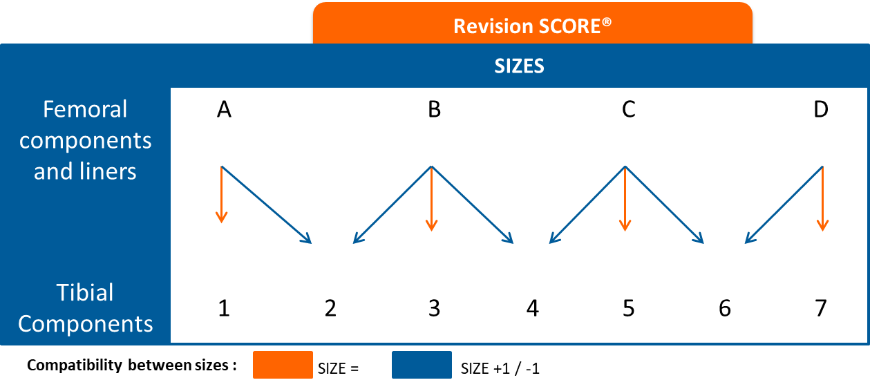 SCORE_DE_REVISION_EN